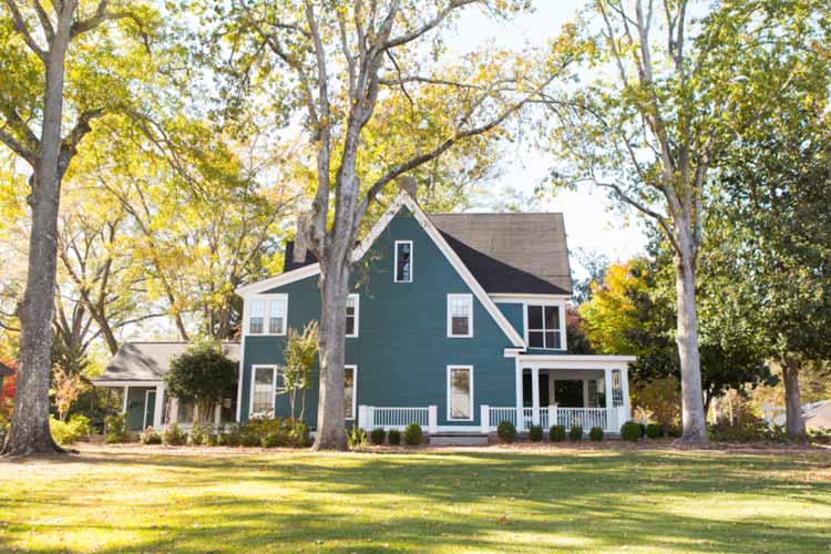 Blue House surrounded by trees